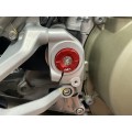 AEM FACTORY - DUCATI PANIGALE / STREETFIGHTER V4 FRAME PLUG KIT PLUS TITANIUM ENGINE / FRAME BOLTS AEM FACTORY - DUCATI PANIGALE / STREETFIGHTER V4 FRAME PLUG KIT PLUS TITANIUM ENGINE / FRAME BOLTS